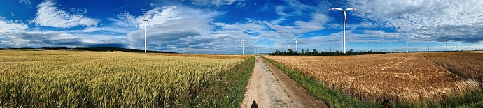 IMG_002476_DxO-wheatfields-and-windmills