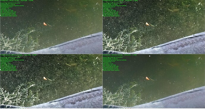 compare minus and plus at 1 on 1 pixel level