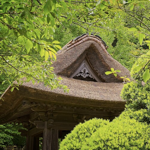 XT4A2896_openWith_0000ON1noise