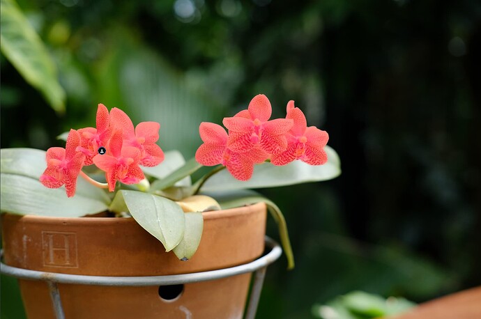 Screenshot 2025-11-14 at 12.07.11 PM