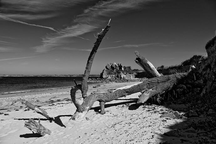 _JNA0026_5_DxO