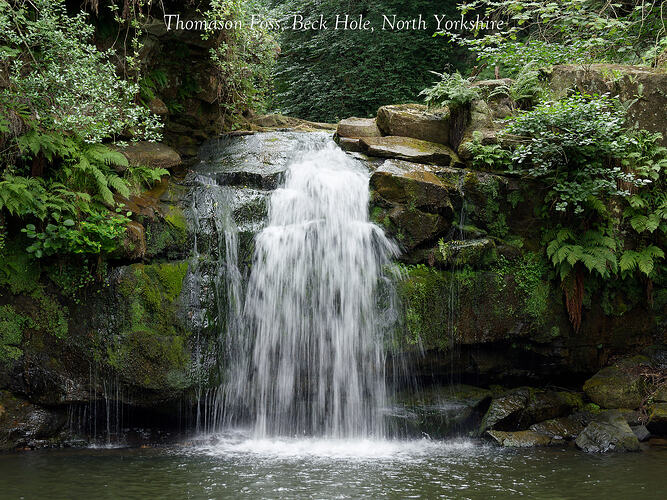 Thomason Foss-1