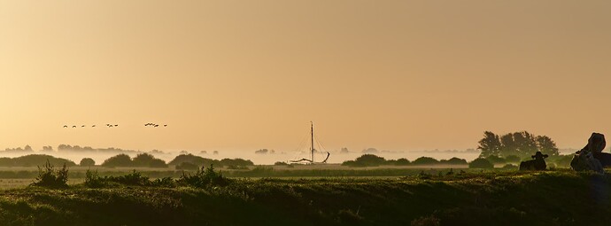 20250811 Nijlan bateau perdu et oiseaux