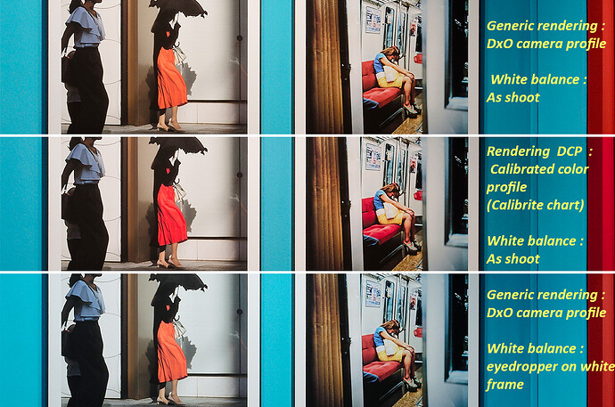 DCP_Profile_4
