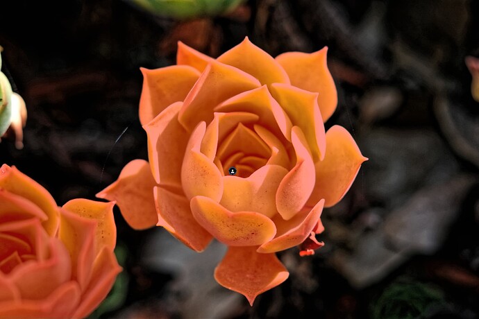 Screenshot 2025-11-14 at 12.07.38 PM