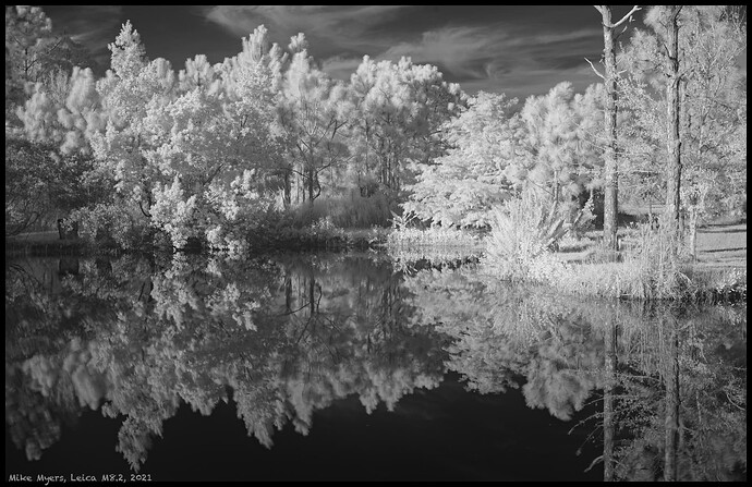 _L1000241  2021-12-06