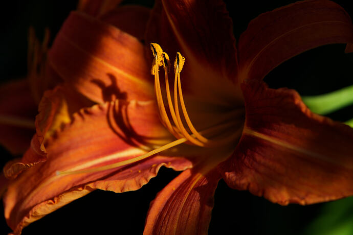 DSC00148_DxO