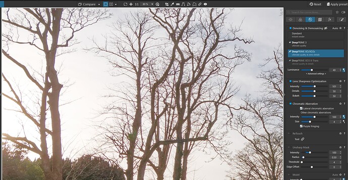 2025-09-03_081926_80%