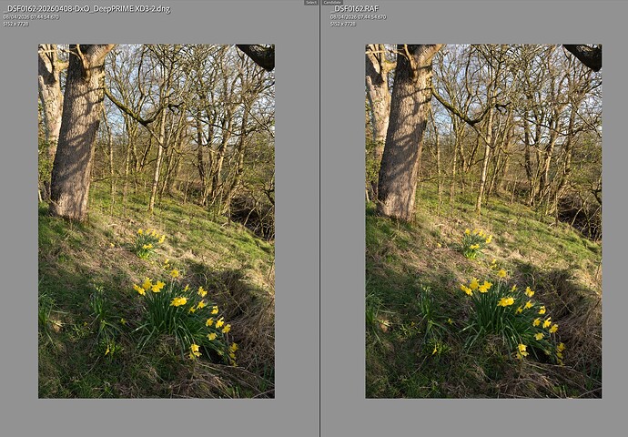 Screenshot 2026-04-07 at 16.08.42