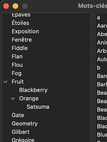 Capture d’écran 2023-11-01 à 12.34.12