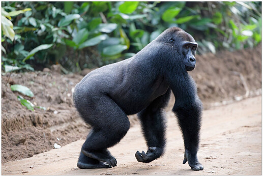 Screen Shot 03-03-26 at 03.58 PM.PNG