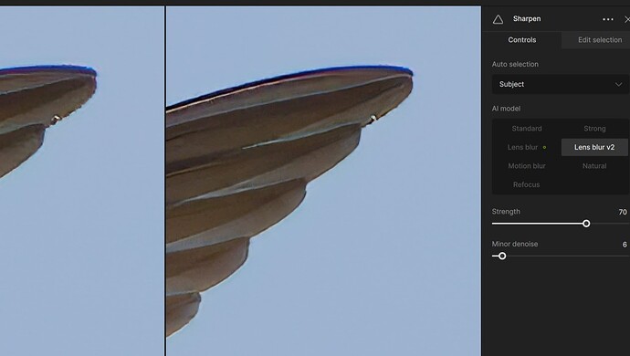 LB2_left_wingtip