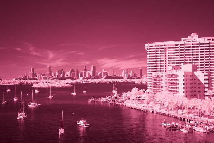 L1000078 2021-11-27_DxO