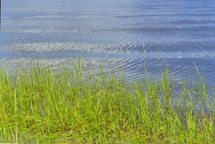 540A6832_DxO-Full