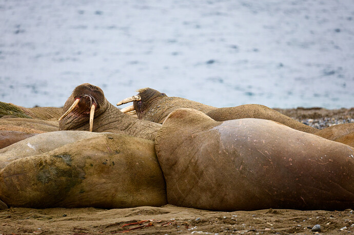 2F3A1512_DxO