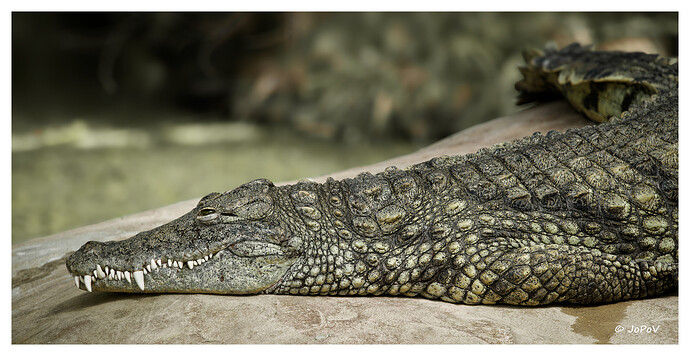 _DSC8709_DxO_DxO_Web1800