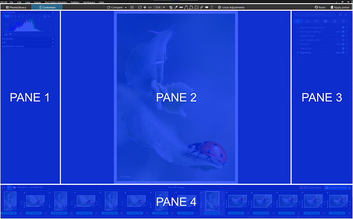 interface_1_PANES