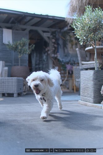 2025-07-05_103619_CL + Filter