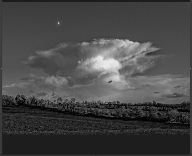 Capture d’écran 2026-02-14 à 12.25.46
