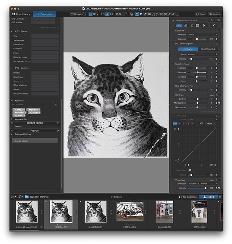Screenshot 2025-04-20 at 15.46.19