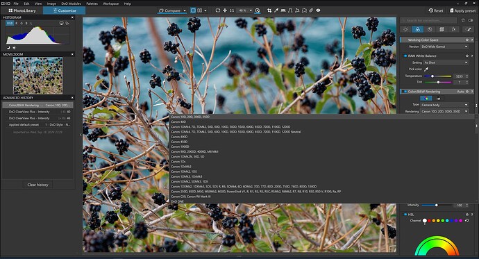Screenshot 2026-02-19 190046