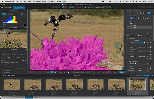 SS2 - Negative click-AI to remove branches