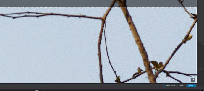 Screenshot 2025-05-25 at 8.36.13 AM