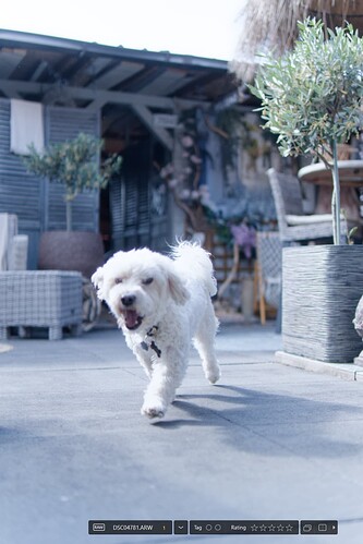 2025-07-05_103529_WG + Filter