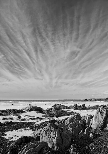 JNA_0012 1_3_DxO_DxO
