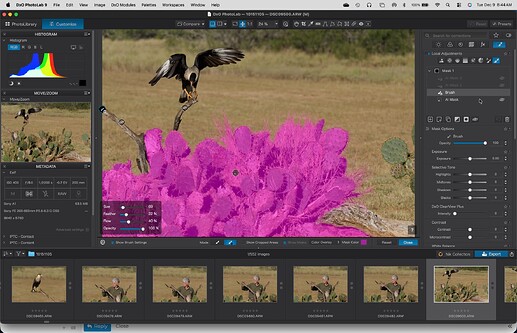 SS3 - Negative brush(eraser) to remove sticks