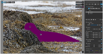 Screen Shot 10-29-25 at 11.04 PM.PNG