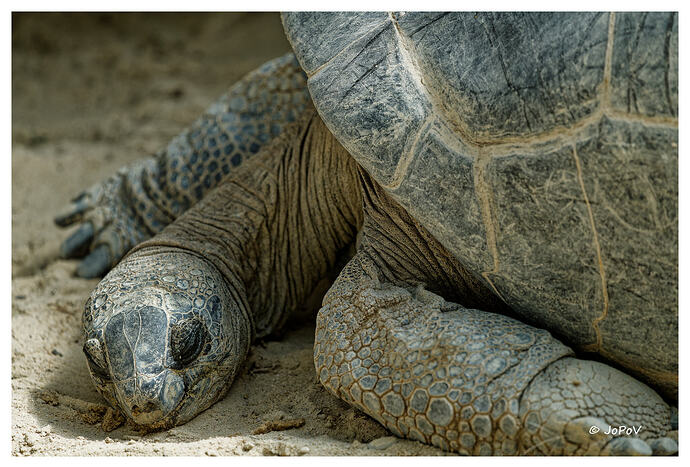 _DSC8631_DxO_1_DxO_Web1800