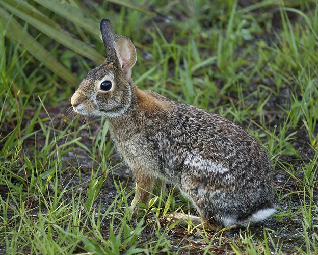 MM2_1511 2022-06-08_1920_sRGB_2