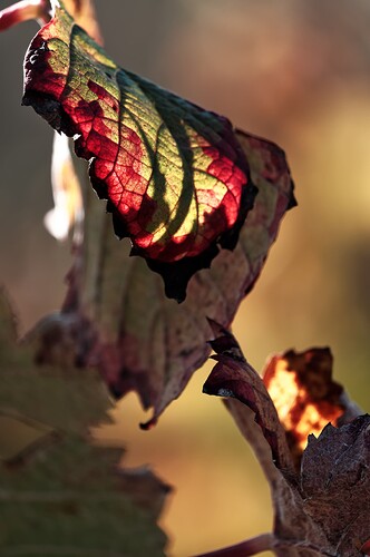 181014_150013_unbenannt