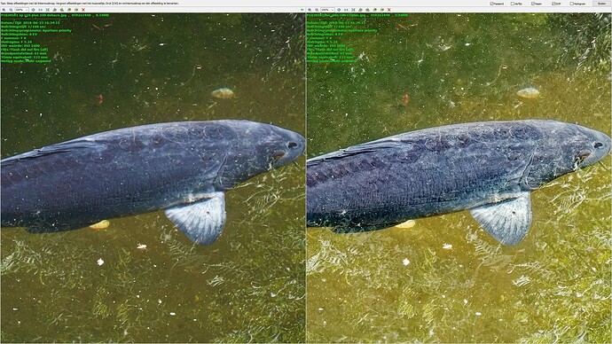 compare sp dehaze vs dxo clearviewplus