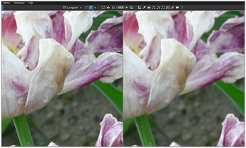 Screen Shot 08-07-26 at 10.06 AM