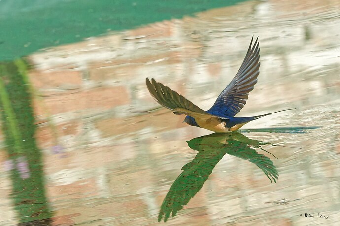 D6704831_DxO-2_Sharp