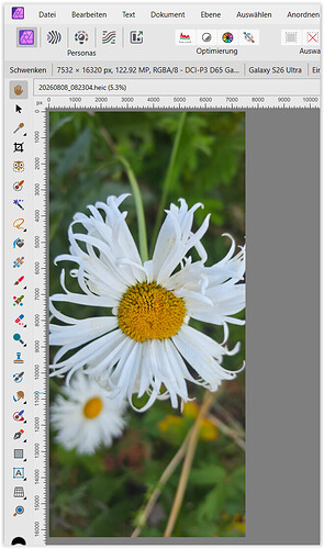 Screen Shot 08-08-26 at 11.36 AM.PNG