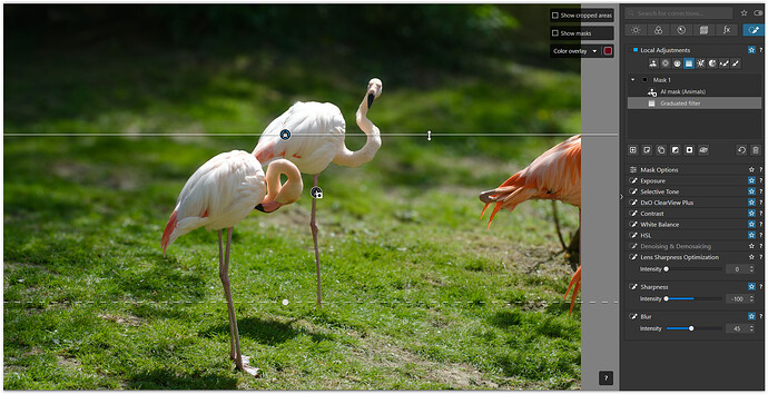 Screen Shot 12-27-25 at 04.30 PM.PNG