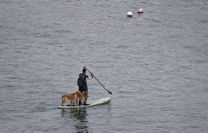 780_0287 2022-12-17_1920