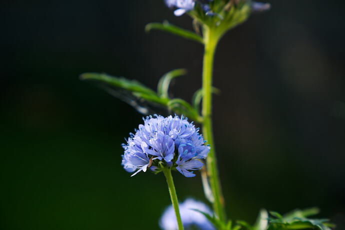 DSC00019