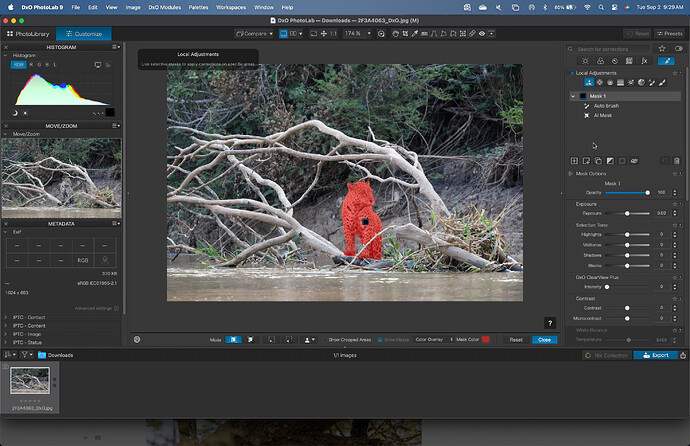 Screenshot 2025-09-02 at 9.29.22 AM