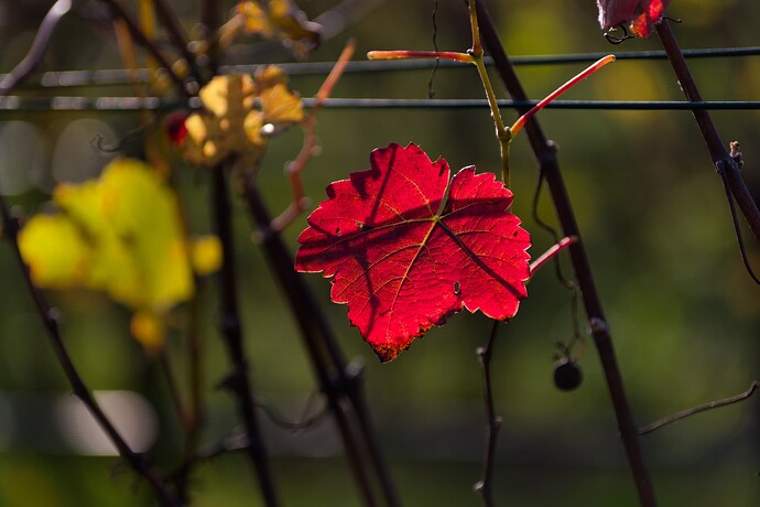 2025-10-24 16-23-29 - Seeloch