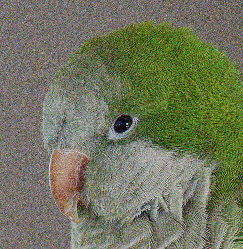 render-DxO Raw with LensSharpness ON