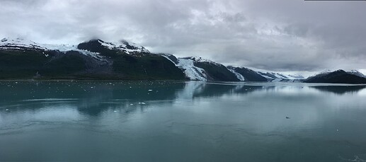 IMG_3231