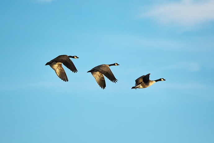 _DSC8025_DxO