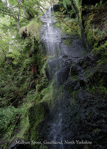 Mallyan Spout-2