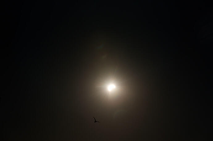 GW_20260813-015