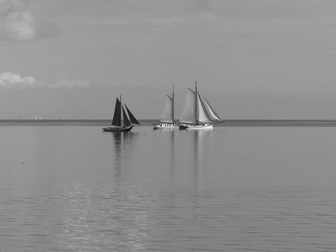 P1030252sp7