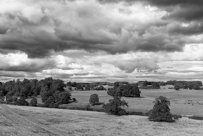 Alnwick Castle-6330-dng-002